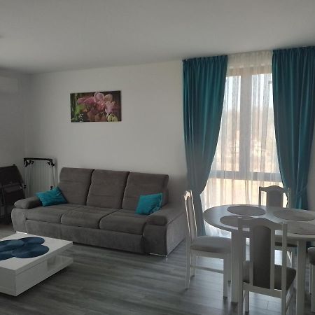 Apartament 2 Camere Lucian Băile Felix Εξωτερικό φωτογραφία
