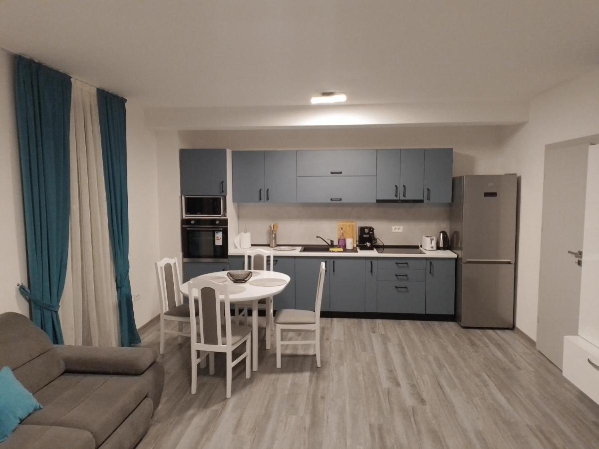 Apartament 2 Camere Lucian Băile Felix Εξωτερικό φωτογραφία