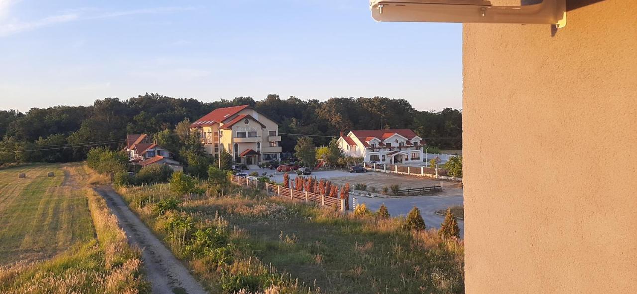 Apartament 2 Camere Lucian Băile Felix Εξωτερικό φωτογραφία